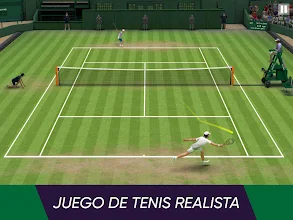 Tenis virtual 47392